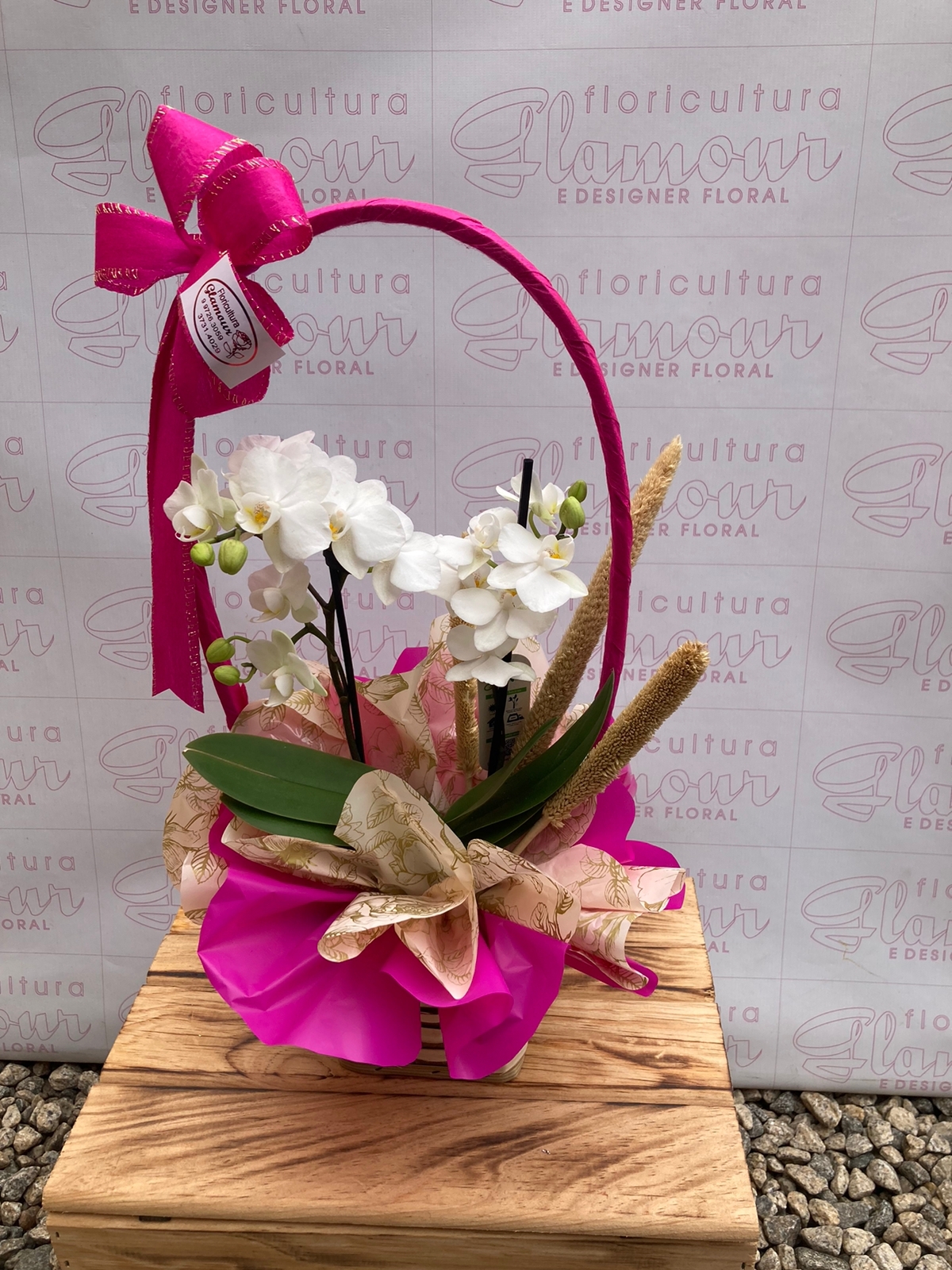 Orquídea Phalaenopsis (branca) (cesta) – Floricultura Glamour